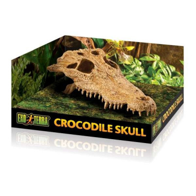 EXOTERRA Crocodile Skull