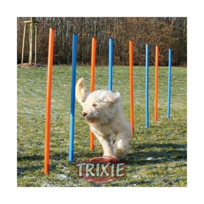 Trixie Agility Slalom