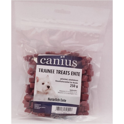 Canius Trainee Treats Ente...