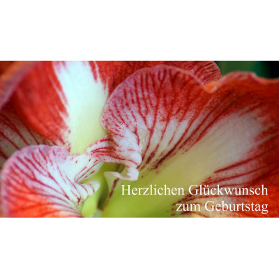 Gutschein Geburtstag Blüte