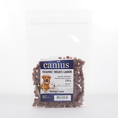 Canius Trainee Treats Lamm...