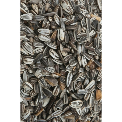 Sonnenblumenk. gestreift 25 kg