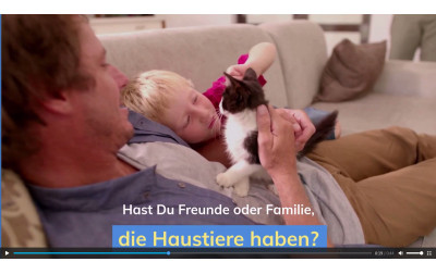 Haben Sie Haustiere ...